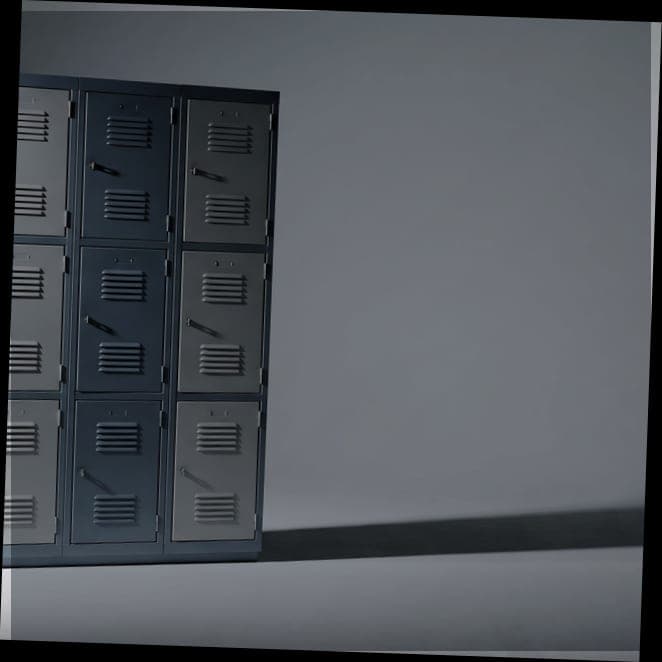 Insulated shipper & cold box